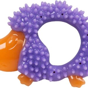Hedgehog Dental Dog Chew Toy — Multi-Textured, Massages Gums, Floats & Bounces for Teething Puppies & Small Dogs, 5" x 3.5" x 1"